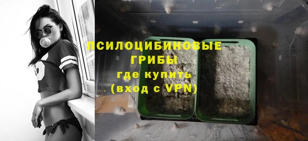 крисы Карталы