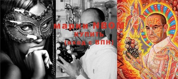 ПСИЛОЦИБИНОВЫЕ ГРИБЫ Абаза