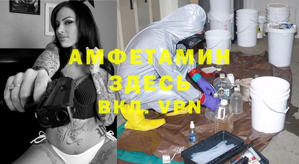 ПСИЛОЦИБИНОВЫЕ ГРИБЫ Абаза