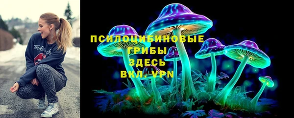 прущие крисы Абинск